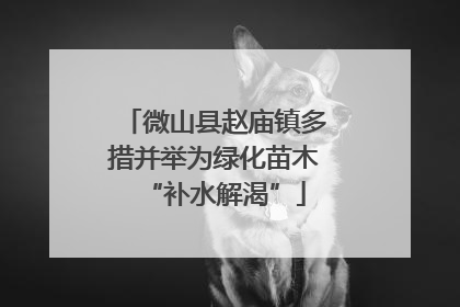 微山县赵庙镇多措并举为绿化苗木“补水解渴”